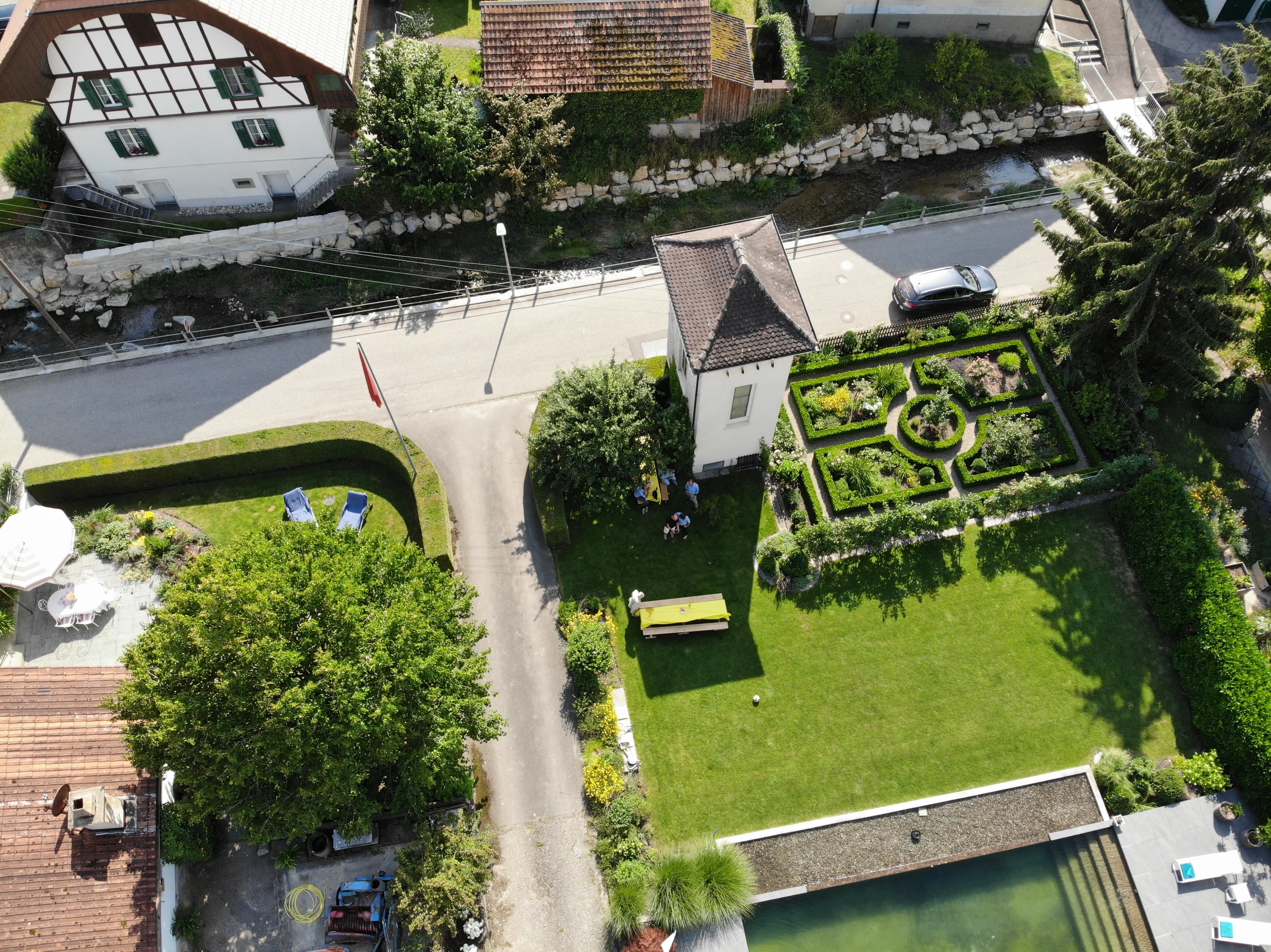 Sommergarten mit üppigem Grün
